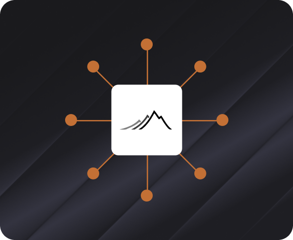 One coordinated plan connecting every part of the balance sheet